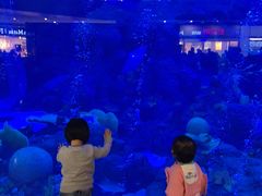 -成都浩海立方海洋公园