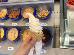 -溪边姑娘·拉丝酸奶水果捞(春熙路店)