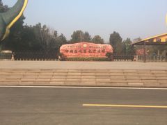 -中国西峡恐龙遗迹园
