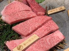 -飞驒牛 烤肉 马食一代(名古屋WEST店)