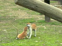 -杭州野生动物世界