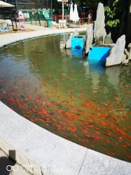 -上美四季动物农场