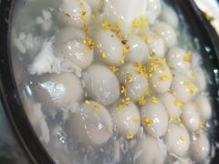 酒酿小圆子-建国328小馆
