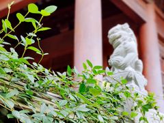 -龙华寺