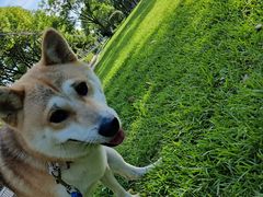 -艾吉宠物医院·疑难杂症转诊中心·猫友好(碧江路院)