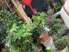 -王万妈卤猪脚(青岩交通路)