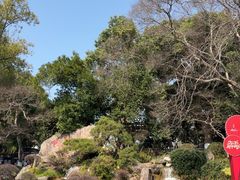 -江心屿景区