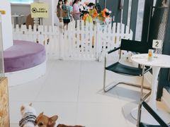 -怪兽屋·羊驼·猫咖·狗咖(俊华广场店)