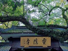 -普陀山慧济禅寺