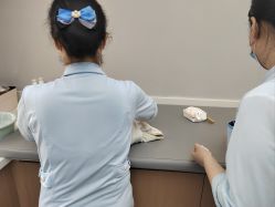 -弗蕾亚·和月月子调理院(东湖店)