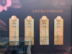-茯茶镇