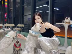 -怪兽屋·羊驼·猫咖·狗咖(俊华广场店)