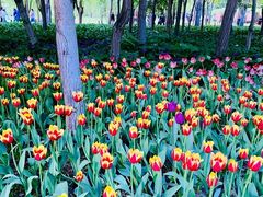 -长春公园(普阳街道)