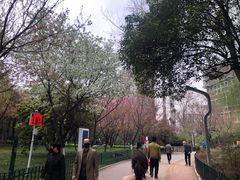 -西安市长乐公园