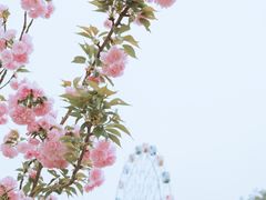 -观澜湖生态运动公社