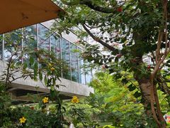 -缘生态云南菜·野生菌庭院餐厅(华侨城店)