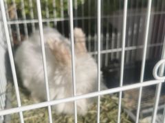 -小意思咖啡店(草桥店)