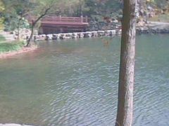 -紫霞湖公园