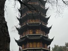-红梅公园