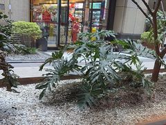 -锦城印象火锅(天府三街店)