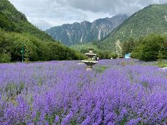 -九寨沟爱情海景区