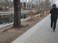 -元大都城垣遗址公园