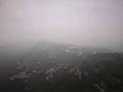 -大金鹰园