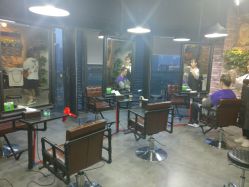 -HD HAIR STYLE