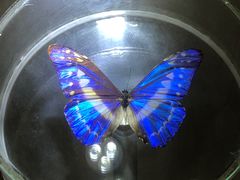 -陕西自然博物馆