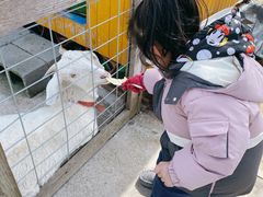 -前小桔亲子创意农场·草莓采摘·露营烧烤