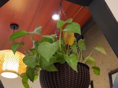-蘇河湾·新鲁菜·泰山宴老店