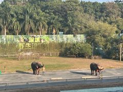 -深圳野生动物园