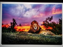 -罗红摄影艺术馆