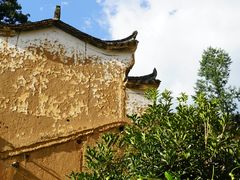 -杨家堂村