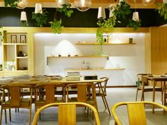 -柴务处·柴犬主题狗咖