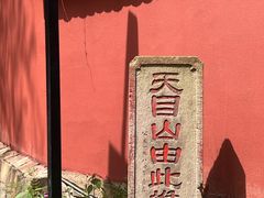 -天目山大树王景区