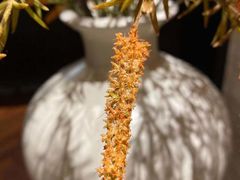 -漾亚·雍雅合鲜(鹭岛店)