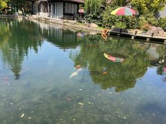 -白马涧龙池景区