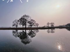 -苏州太湖国家湿地公园