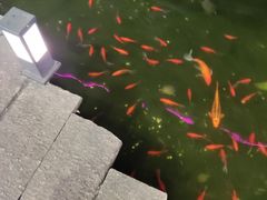 -嘉缤苑