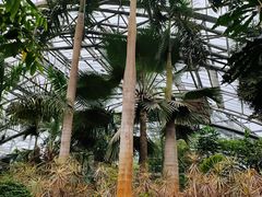 -南山植物园