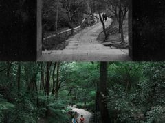 -虎跑公园