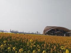-中国天府农业博览园