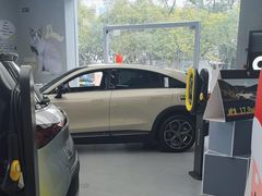 -上海浦东smart汽车全功能店(金桥店)