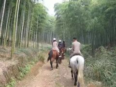 -山沟沟景区