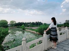-白洋淀景区