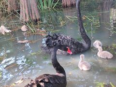 -昆山城市生态森林公园