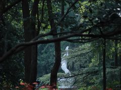 -杭州植物园