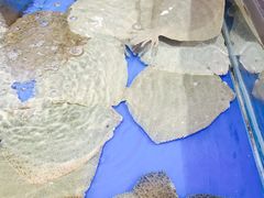 -盒马鲜生(莱蒙都会店)