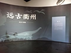 -衢州市博物馆